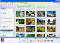 Picasa 3.9 Rus