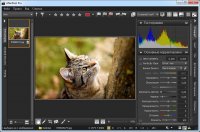 Corel AfterShot 2 Rus