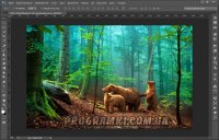 Adobe Photoshop CC 14 Rus