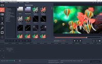 Movavi Video Editor 12 � ������